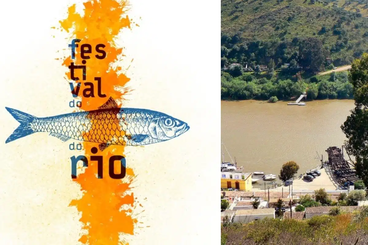 Festival do Peixe do Rio