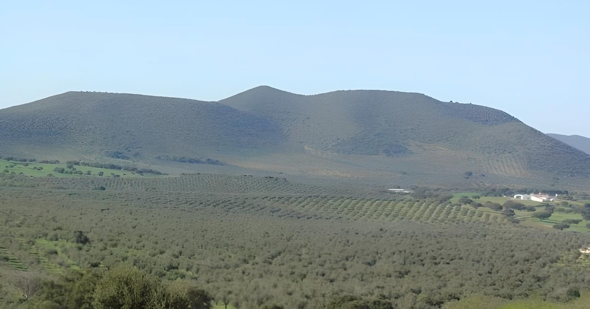 Paisagem de colinas verdes com oliveiras em Portugal.
