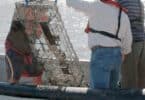 Pescadores manuseando armadilha para caranguejos em barco.